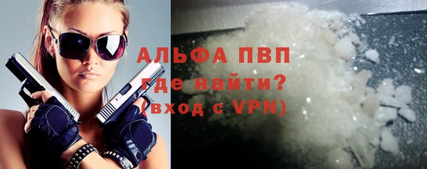 индика Коряжма