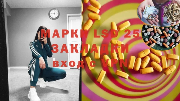 индика Коряжма