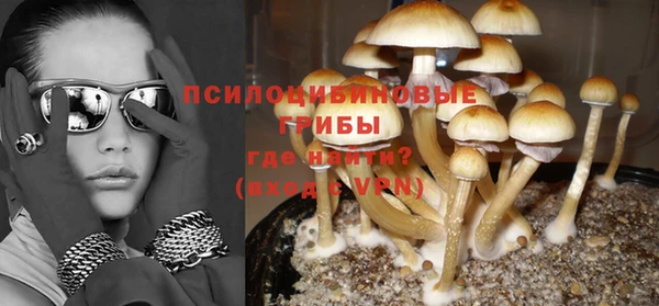 молекула духа Карпинск
